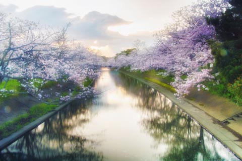 奇門遁甲による開運旅行