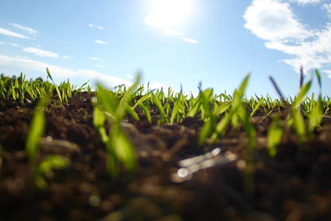 座山日盤の局数表