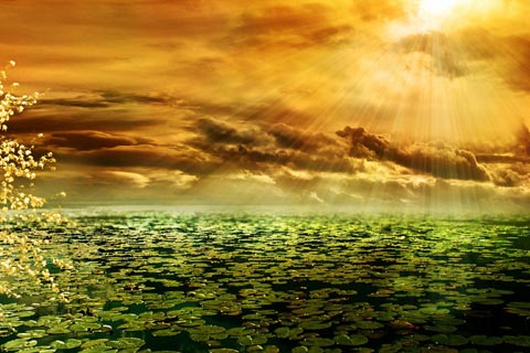 奇門遁甲の陰局と陰遁