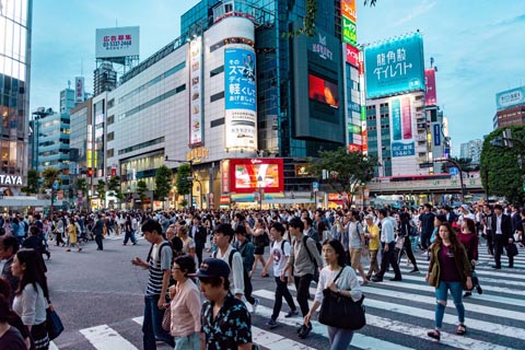 東京の自然時