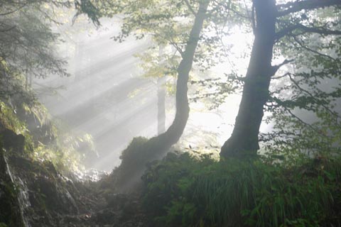 座山月盤局数表の図象